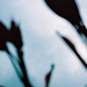 军舰上的女兵免费观看完整版全集
