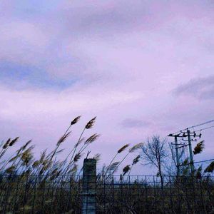 军舰上的女兵免费观看完整版全集
